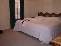 carpeted bedroom